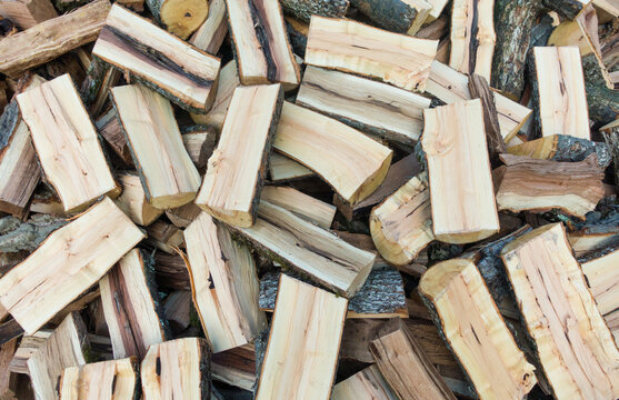 Chopped Firewood Logs Stacked in Pile