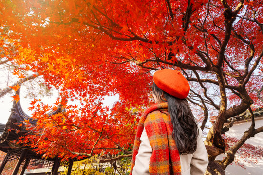 Young woman traveler looking at the view of red maple leaves during the autumn foliage season in Suzhou, China