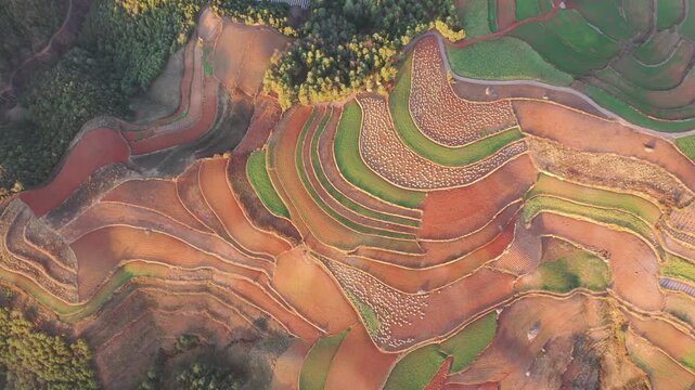 Aerial view of colorful terraced fields in Dongchuan Red Land, Yunnan, China