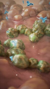 Cellular phagocytosis captures viruses and eliminates harmful cells. 