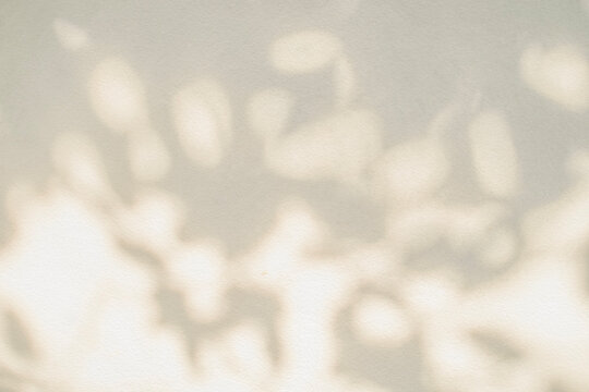 Abstract  light shadow of leaf beige bokeh blurred background. Natural diagonal leaves tree branch shadows and sunlight on white wall. Shadow overlay effect foliage mockup