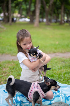 Young mixed race girl happily holds small chihuahua dog while another dog stands nearby in the park