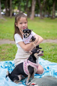 Young mixed race girl holds a small chihuahua dog while another dog stands beside her in the park.