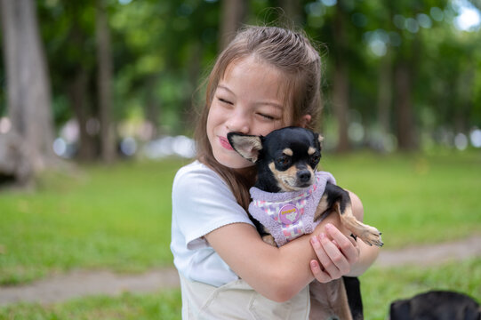 Young mixed race girl lovingly cuddles a small chihuahua dog while sitting in the park.