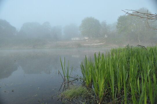 Misty morning by the tranquil pond with lush green grass and quiet reflections