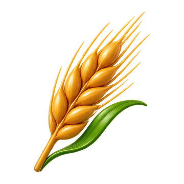 Golden wheat ear with a single green leaf on a white background