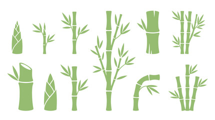 Fototapeta premium Set of green bamboo plant icons and silhouettes for nature design.