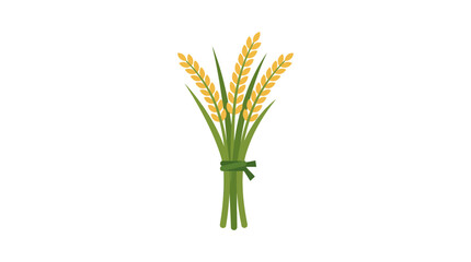 Fototapeta premium Isolated Bunch of Golden Wheat Stalks Tied Together