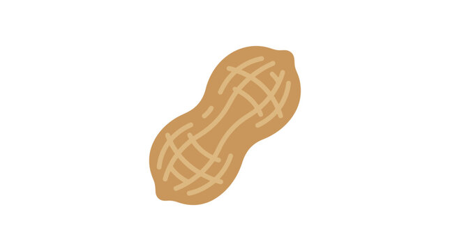 Isolated Cartoon Peanut with a Textured Shell