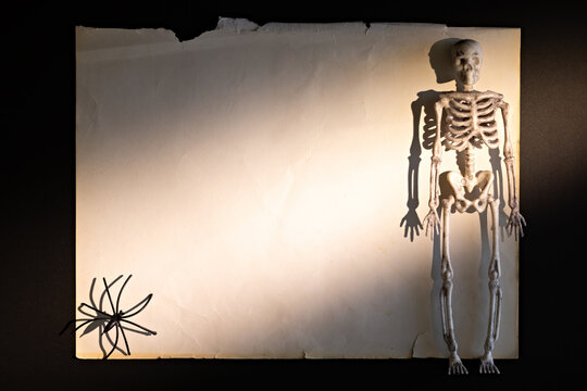 Skeleton at right edge of vintage torn paper with wide copy space for Halloween banner or mockup