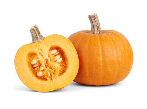 Pumpkin Isolated on White Background