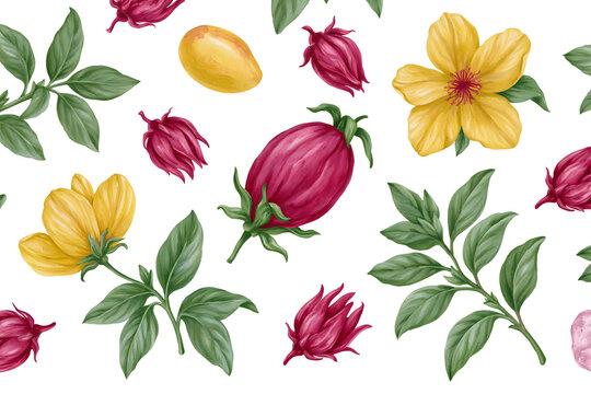 Explore the Beauty of Vibrant Plants and Flowers in This Stunning Botanical Illustration with Yellow and Red Blooms Illuminating Nature's Splendor