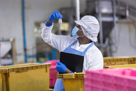 African factory worker inspector carefully examining small product closely for quality control wearing protective gear hairnet mask blue gloves standing inside industrial plant