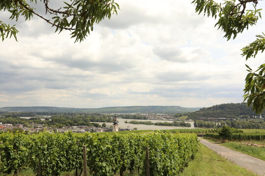 Vineyard overlooking a German town and the Rhine River on a cloudy day