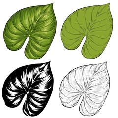 Philodendron Tropical Leaf Transparent PNG Clipart Set - Detailed, Flat, Line Art, and Silhouette Styles © R14N