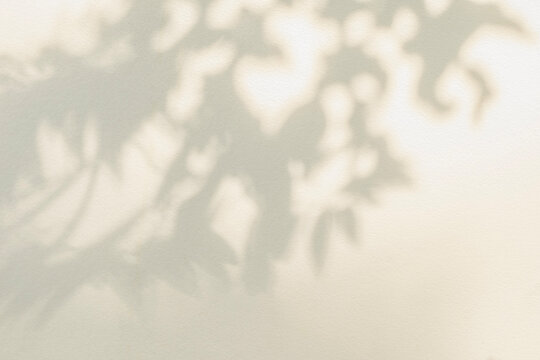 Leaf shadow and light on wall beige background. Nature tropical leaves plant and tree branch shade with sunlight on wall texture for background wallpaper and design, shadow overlay effect