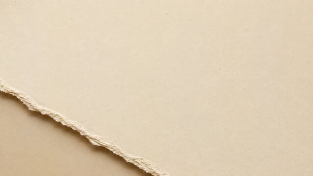 Light beige paper with a rough, torn diagonal edge revealing a subtle darker layer underneath, creating a minimalist and textured background.