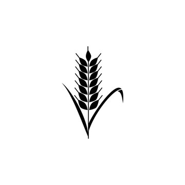 This is a minimalist vector illustration of a Wheat Plant icon, featuring a simple, clean, and solid glyph style. The icon can be used as a symbol, sign, or logo.
