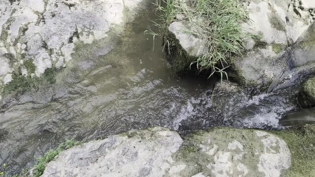 Inquadratura dall'alto delle rapide e delle correnti del fiume Metauro che si incanalano tra i massi di pietra e la vegetazione ripariale