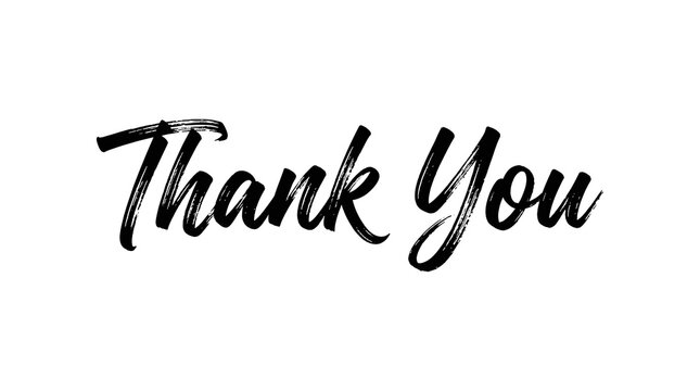 Thank you handwritten brush script on white background