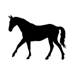 Obraz premium Black horse silhouette icon. Elegant stallion vector graphic for equestrian design.