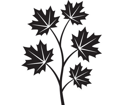 Maple Leaves Illustration Showcasing a Detailed Branch Design. Autumn Foliage Concept for Seasonal Design Projects.