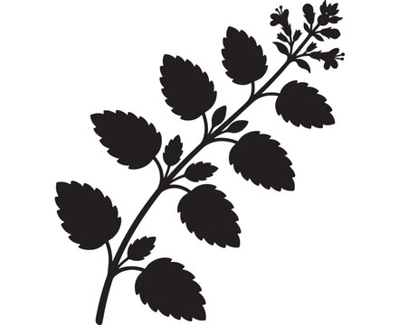 Catnip Sprig Silhouette Illustration, a Botanical Design Element for Herbal Projects and Natural Wellness Concepts.