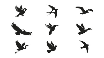 Fototapeta premium Black songbird silhouettes in flight