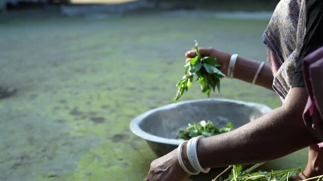 Close-up shot of hands preparing organic herbs or greens for cooking in a traditional village setting.