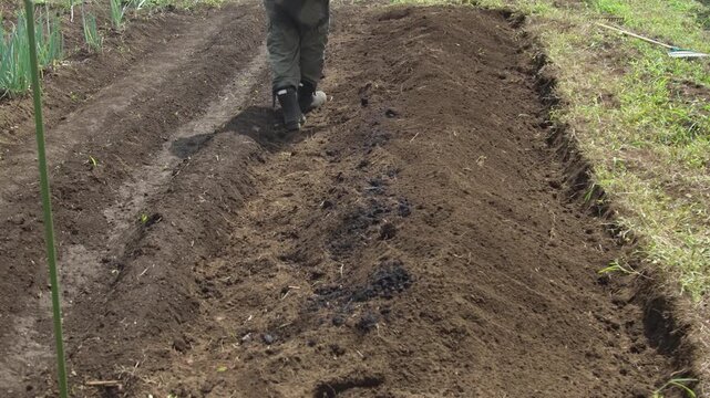 畑に堆肥を撒く男性