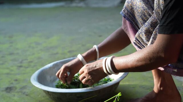 Close-up shot of hands preparing organic herbs or greens for cooking in a traditional village setting.