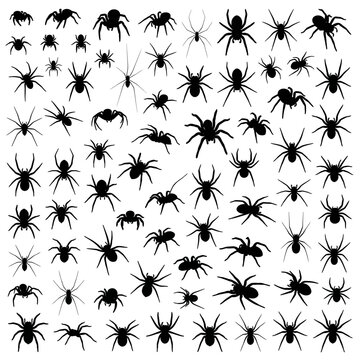 vector illustration of Black and white abstract pattern of small flying insects Vector, illustration , Happy Halloween, Halloween, Halloween Icons