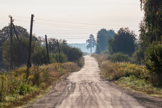 Country dirt road leading towards a lonely pine tree under a hazy morning sky