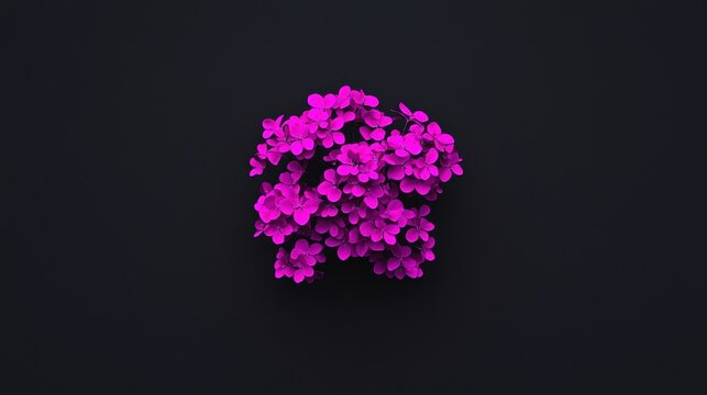 A cluster of pink flowers against a black background.