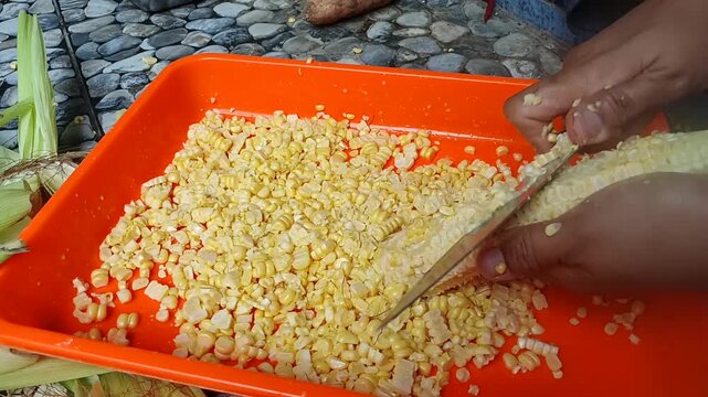 hands cutting sweet corn kernels off cob with knife into orange tray
