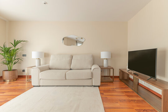 Symmetrical living room with beige loveseat, twin lamps, palm plant, wall mirror, and wooden TV console
