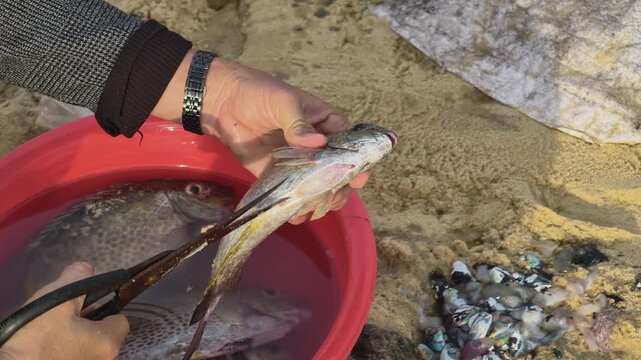 Close-up of a vendor using scissors to trim and clean fresh fish in a red basin at a coastal market in Central Vietnam