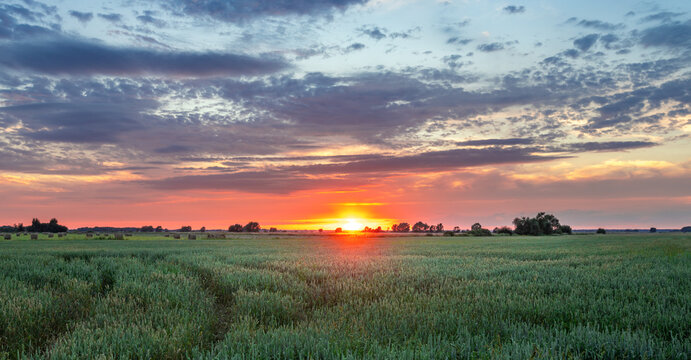 Vast open field at sunset, colorful sky, peaceful nature scene