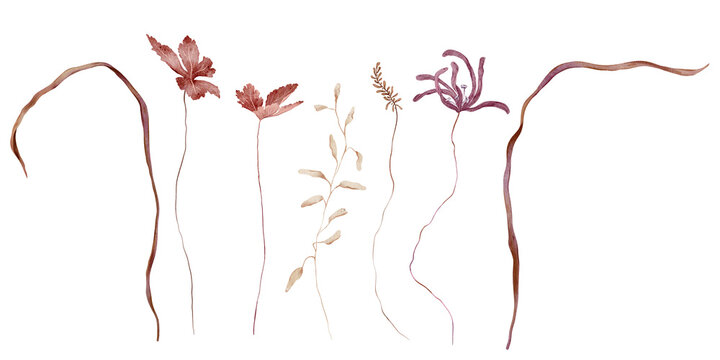 Hand-painted watercolor botanical set of isolated dried stems with rust red leaves, beige oval foliage, wispy fern buds, and a purple wildflower on white background. Minimalist floral collection.