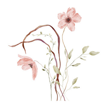 Watercolor Pale Pink Poppies with Dark Centers, Arching Seed Pods and Sage Green Foliage on White Background. Wildflower Bouquet. Autumn composition with hand drawn illustrations.
