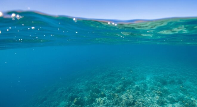 Underwater ocean view