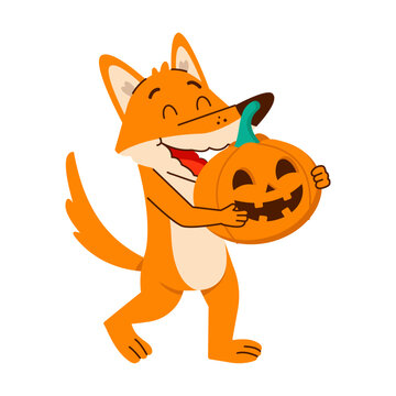A smiling orange fox carries a carved orange pumpkin in both paws, creating a cheerful Halloween activity in a playful cartoon illustration 