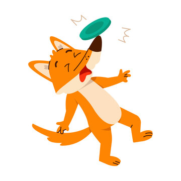 A playful orange fox leans backward as a teal frisbee lands on its snout, showing a funny outdoor moment in a lively cartoon illustration 