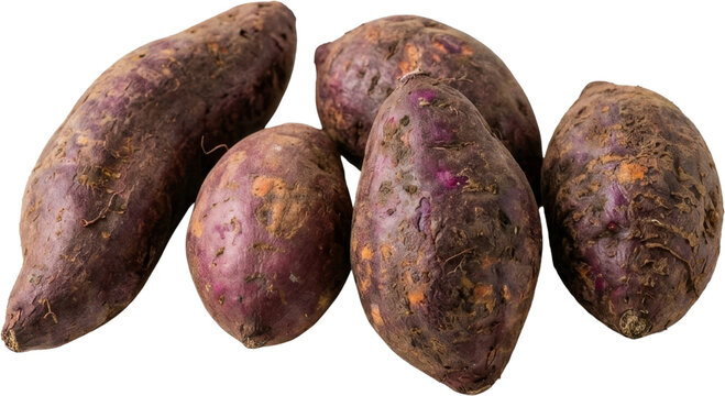 Five purple sweet potatoes with rough, earthy skin and varied shapes displayed together.