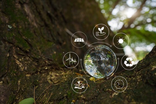 Clean Energy Technology and Environmental Sustainability Concept