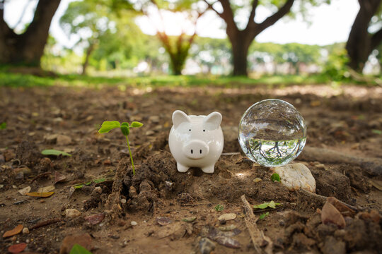 Green Savings and Sustainable Ecological Investment Concept