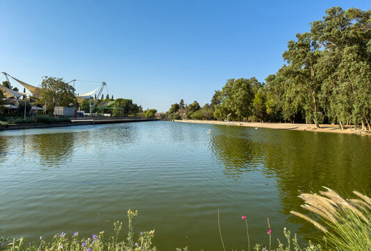 Calm green lake with tree reflections in the Tritsis park in Ilion, Attica, Greece.