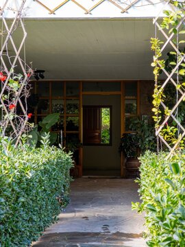 Residential building entrance framed by lush greenery in an upscale Athens neighborhood, with a modern gate, stone base, and shaded walkway.