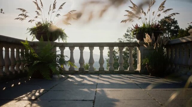 Swaying potted ferns, grasses on terrace in gentle breeze, camera adjusting focus revealing railing