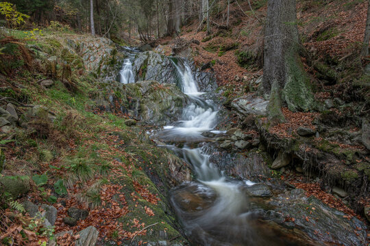 Small waterfall cascading over mossy rocks in a peaceful autumn forest with fallen orange leaves